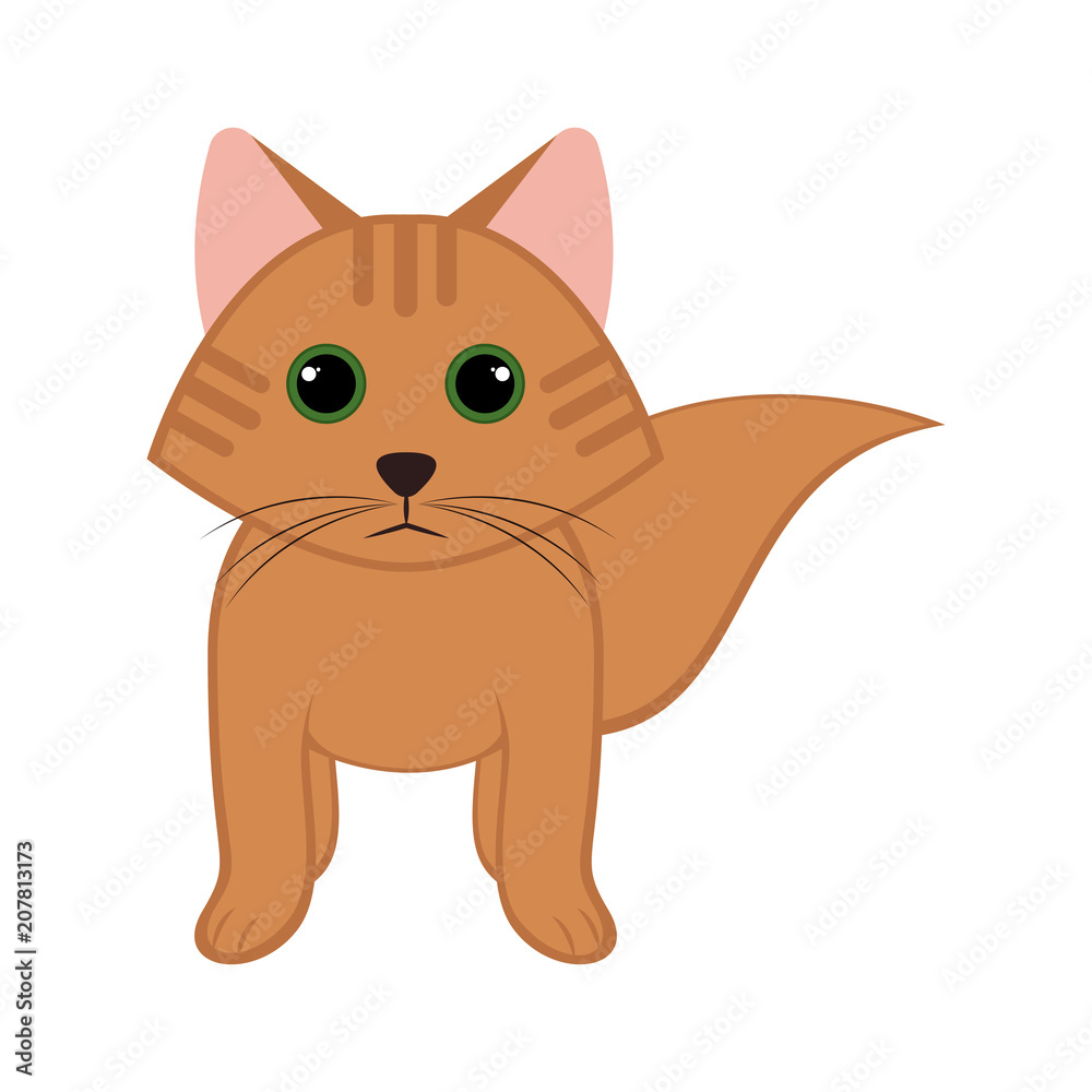Obraz premium Isolated cute cat