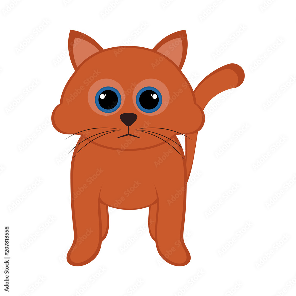 Obraz premium Isolated cute cat