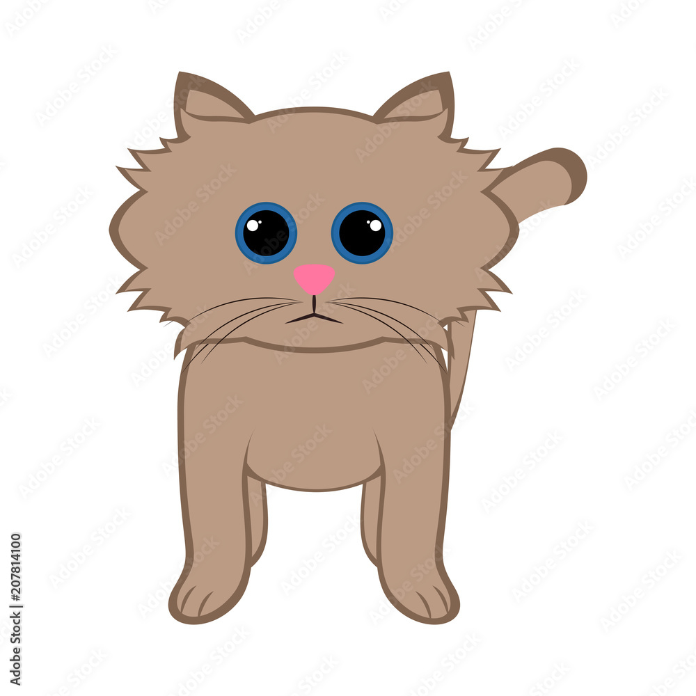 Obraz premium Isolated cute cat