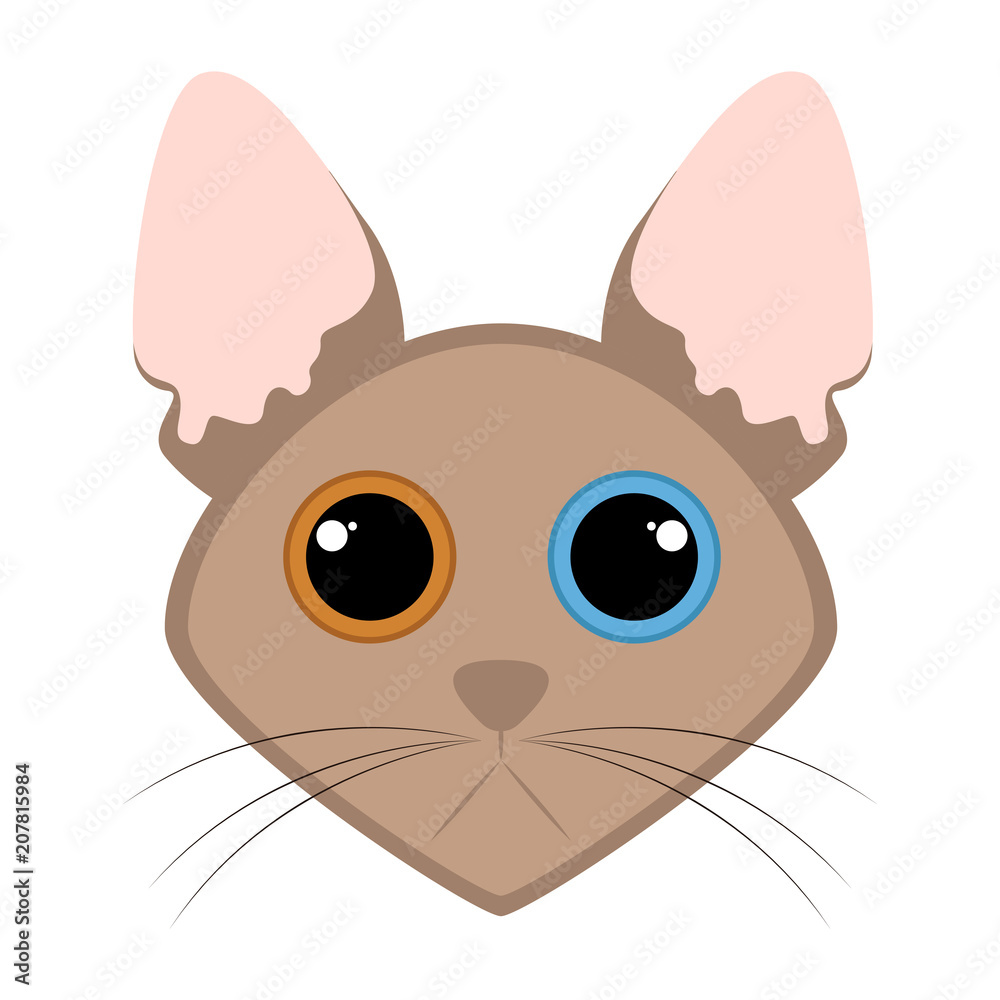 Isolated cute cat avatar Isolated cute cat avatar