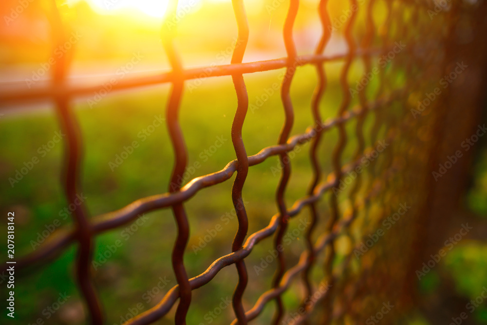 fence with metal grid in perspective fence with metal grid in perspective