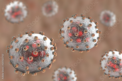 Lassa fever viruses, 3D illustration. RNA-viruses from Arenaviridae family, they have inner inclusions and outer glycoprotein spikes, the causative agent of Lassa hemorrhagic fever photo