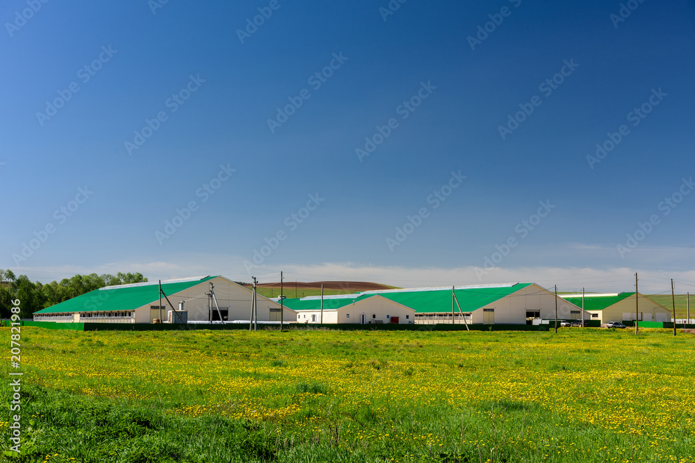 A large dairy farm for feeding and milking cows. A large dairy farm for feeding and milking cows.