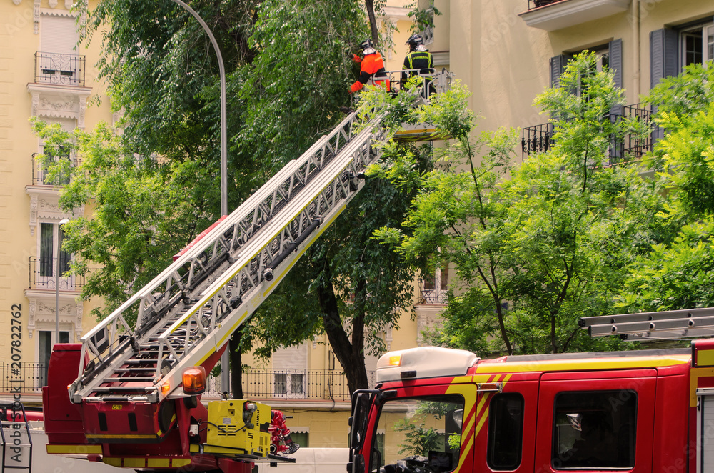 Obraz premium firefighters on aerial ladder cutting branches of a tree