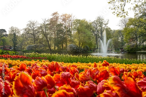 Parc Floral de Keukenhof aux Pays-Bas