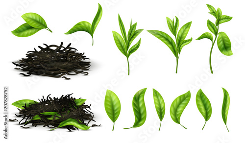 Close up realistic tea dried herbs and greens tea leaves isolated vector set