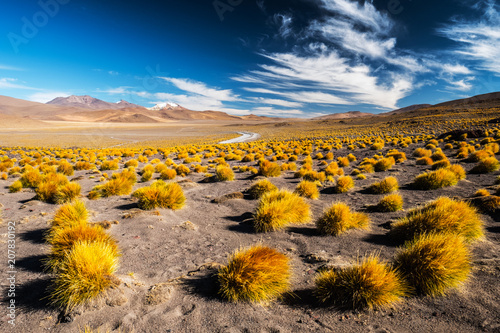 Desert with mountains and vegetation. Landscape of the Sud Lipez province. South of Bolivia photo