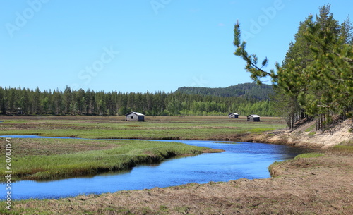 Svansele Dammaenger, a former water-meadow in Sweden. It is now a nature reserve photo