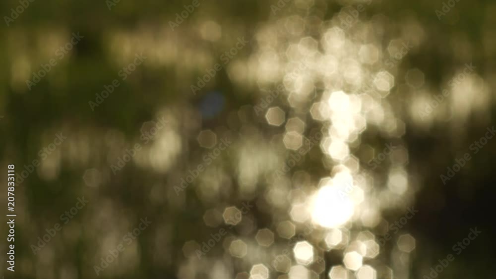 Blurry bright sparking bokeh video of a lake and grass in out of focus. Blurry bright sparking bokeh video of a lake and grass in out of focus.