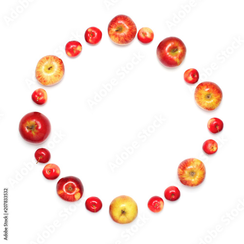 many different apples fruits in the shape of circle isolated on a white background