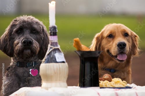 Lady and the Tramp
