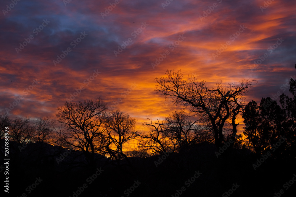 SKy Fire SKy Fire