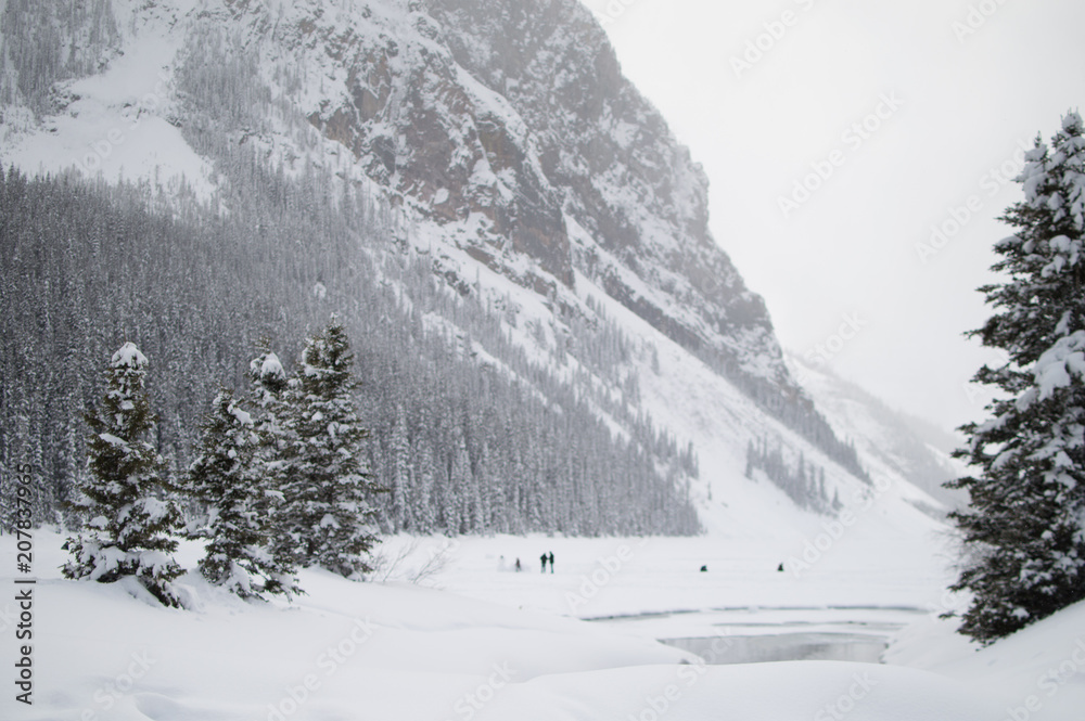 Fototapeta premium Canada