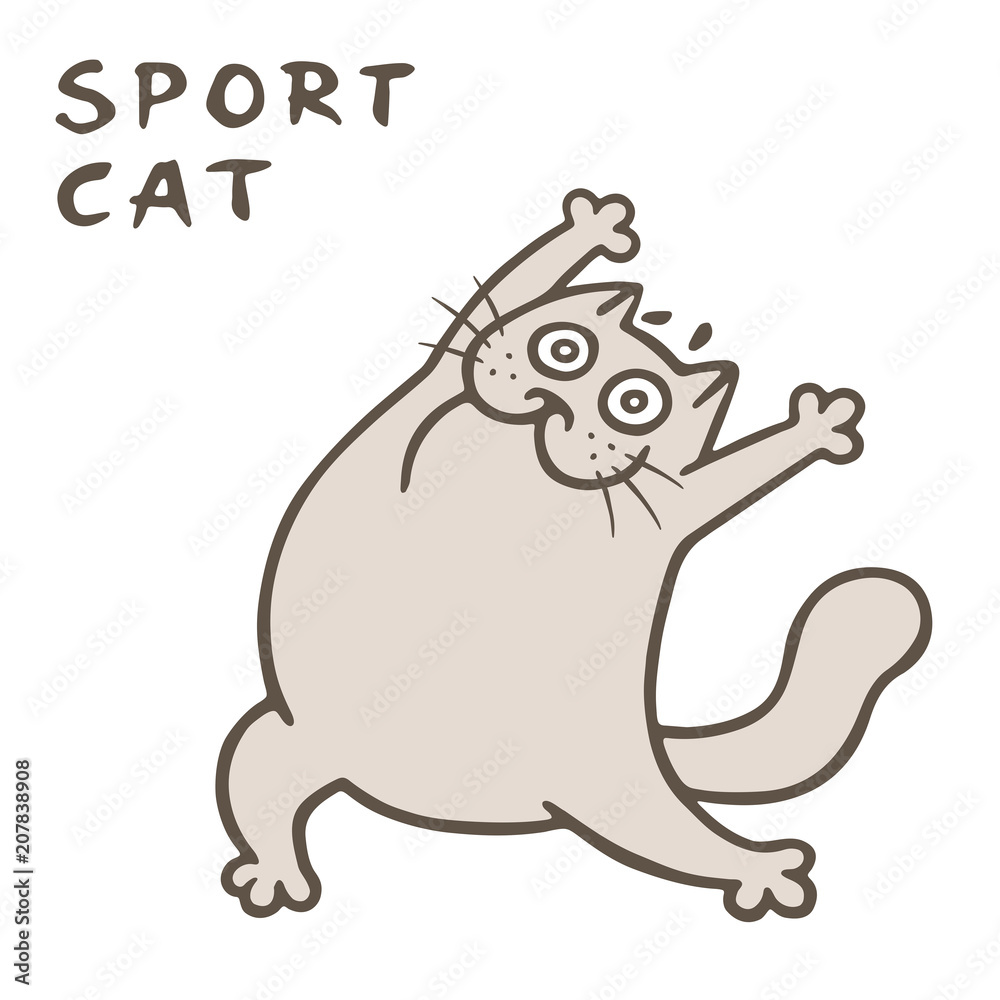Fototapeta premium Sport with cute thick cat. Vector illustration