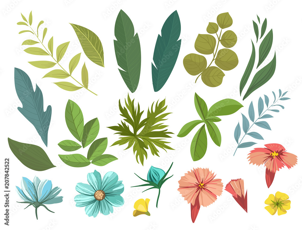 Floral decorative elements. Vector set with flowers, leaves.