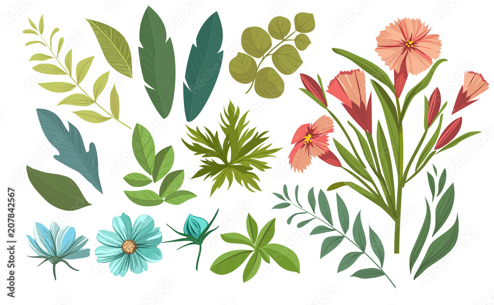 Floral decorative elements. Vector set with flowers, leaves. Floral decorative elements. Vector set with flowers, leaves.