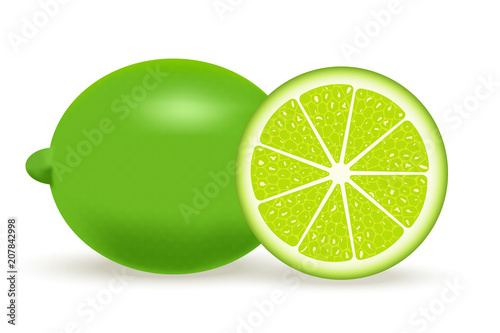 Vector illustration of fresh lime isolated on white background.