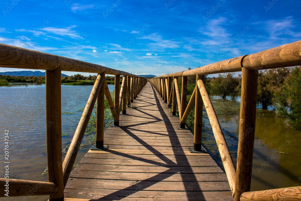 Lagoon. “Laguna de Fuente de Piedra”. Fuente de Piedra, Malaga Province, Andalusia, Spain.