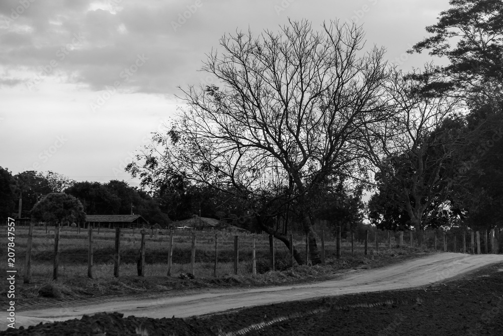 Naklejka premium Ibirá-SP