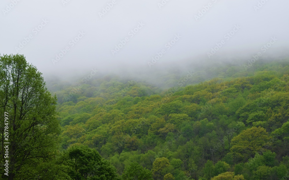 Mist on Mountain Mist on Mountain