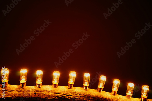old light bulbs in wood branch
