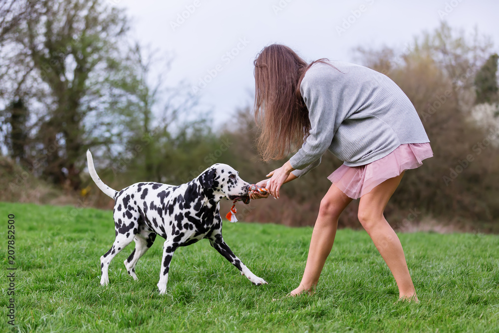 young woman plays with her Dalmatian dog young woman plays with her Dalmatian dog
