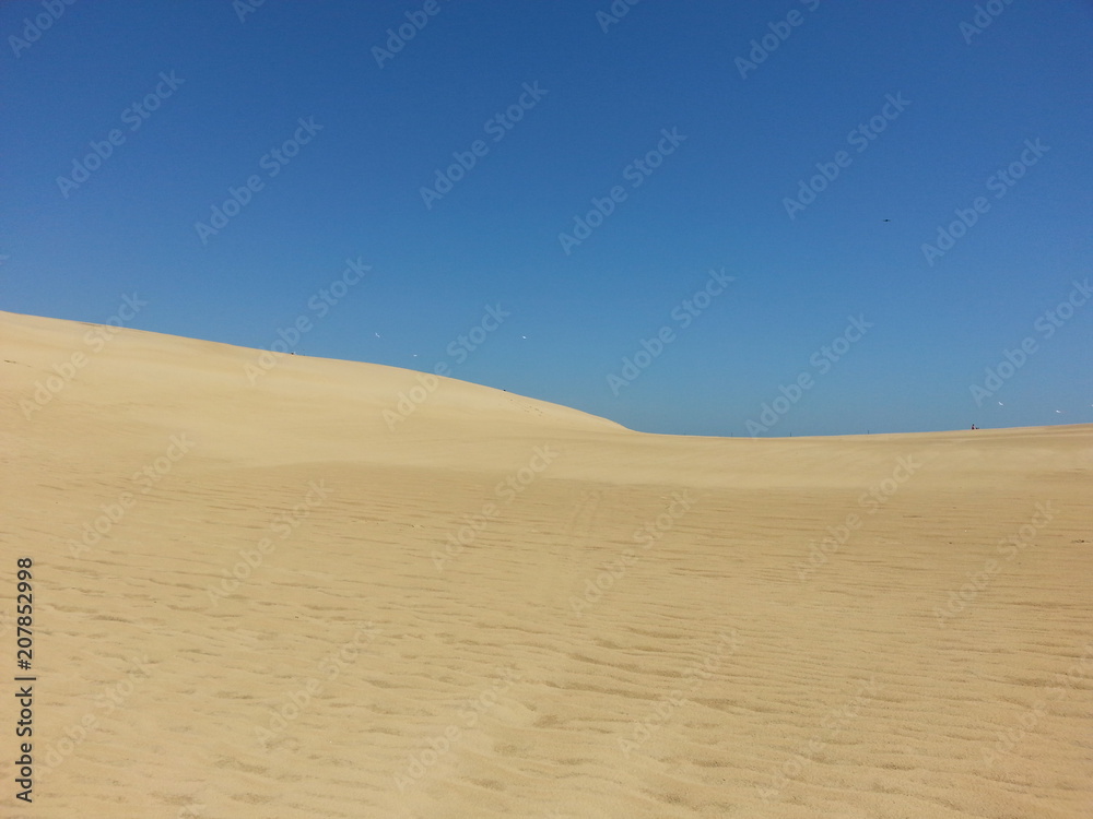 Dune scene