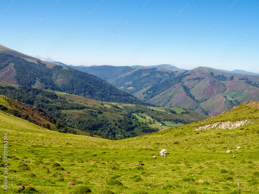 Beautiful green pasture high up in the Pyrenees on the French Camino - St Jean Pied de Port, France