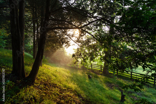 Canvas Print Rural Tennessee Morning