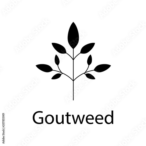 goutweed illustration. Element of plant icon for mobile concept and web apps. Detailed goutweed illustration can be used for web and mobile