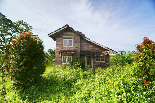 Neglected house overgrown with bushes