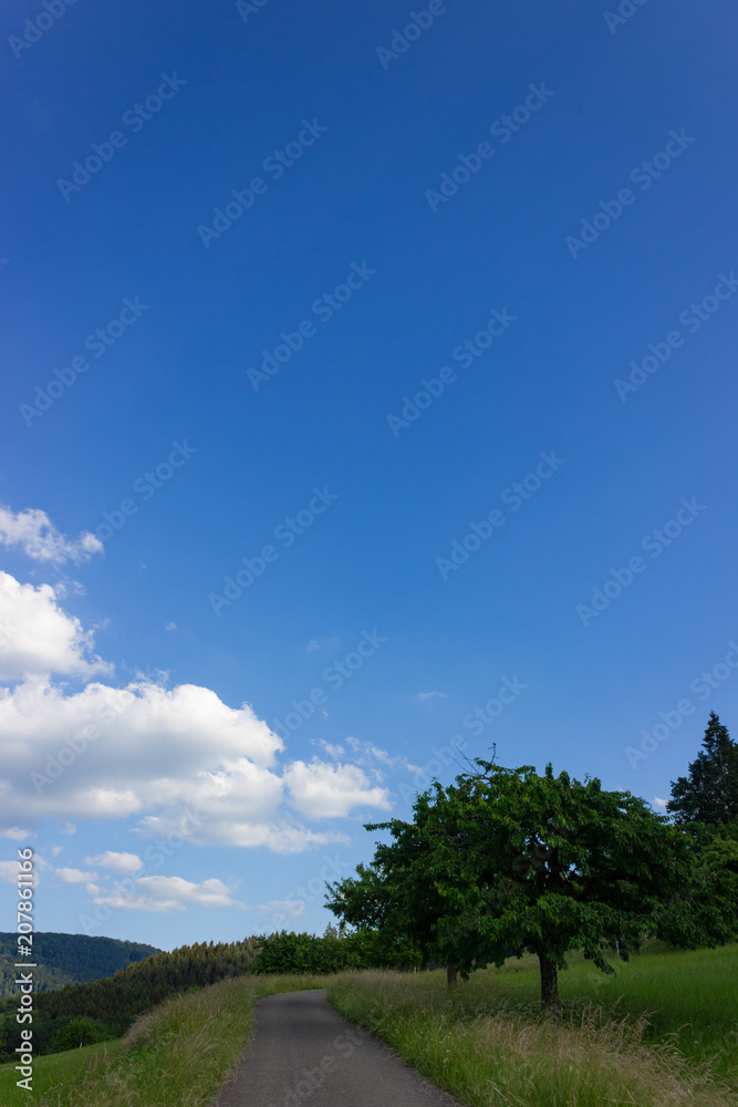 landscape springtime green fields with blue sky and clouds landscape springtime green fields with blue sky and clouds