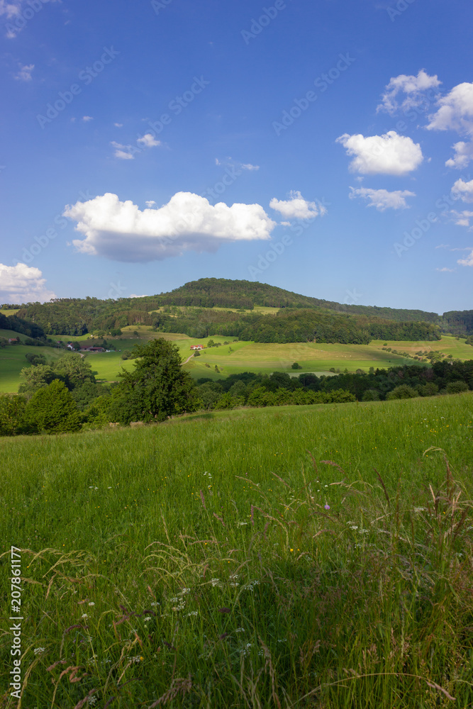 landscape springtime green fields with blue sky and clouds landscape springtime green fields with blue sky and clouds