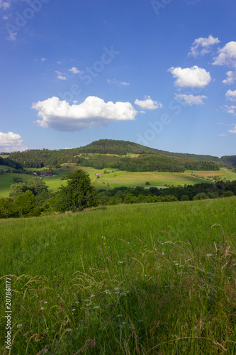 landscape springtime green fields with blue sky and clouds