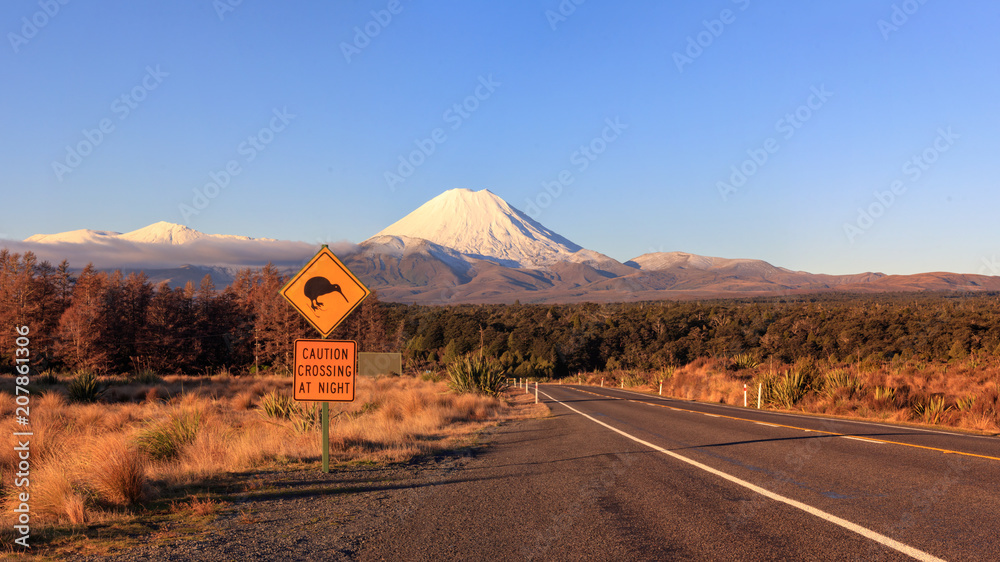 Naklejka premium Znak drogowy Kiwi i wulkan Mt. Ngauruhoe przy zmierzchem, Tongariro park narodowy, Nowa Zelandia