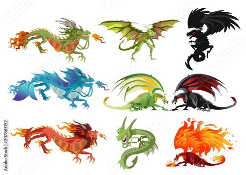 wild dragons collection