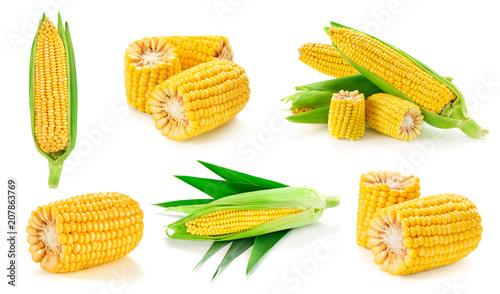 Corn on the cob kernels