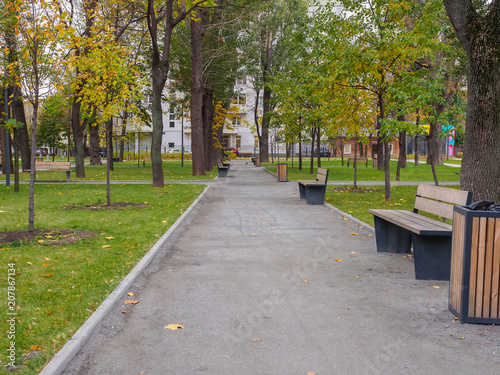 Trees with yellowing foliage along the path in the autumn park.