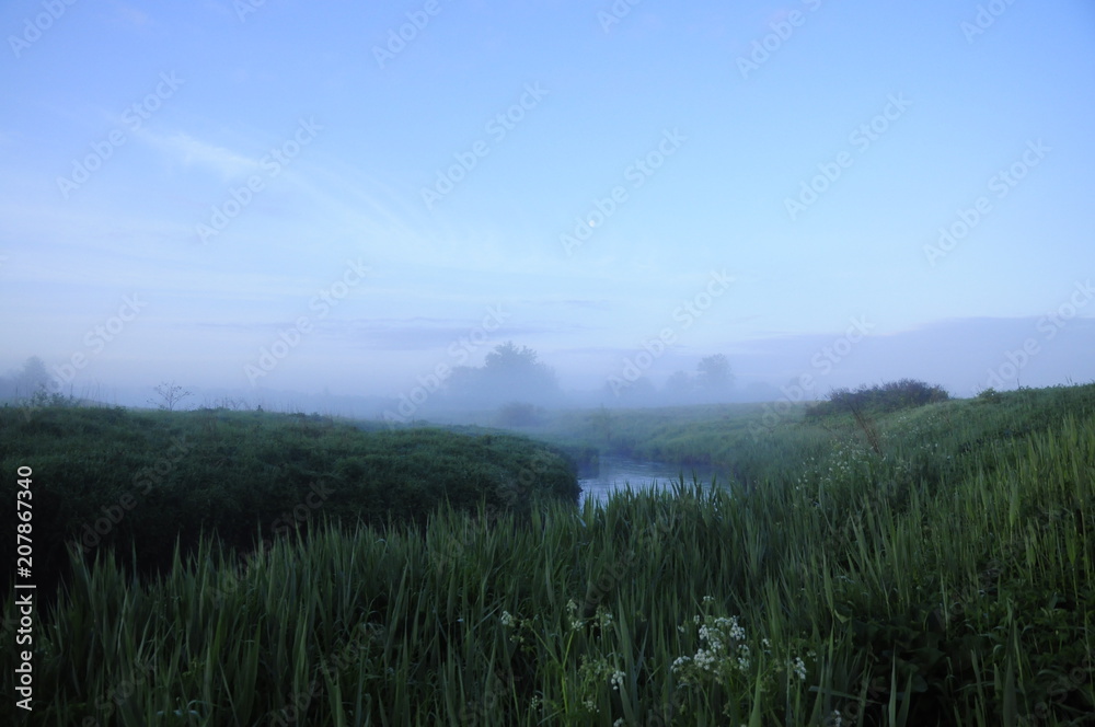 Fototapeta premium русло