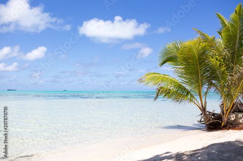 Fototapeta Naklejka Na Ścianę i Meble -  Tropical Paradise at the beach with crystal clear blue ocean sea water