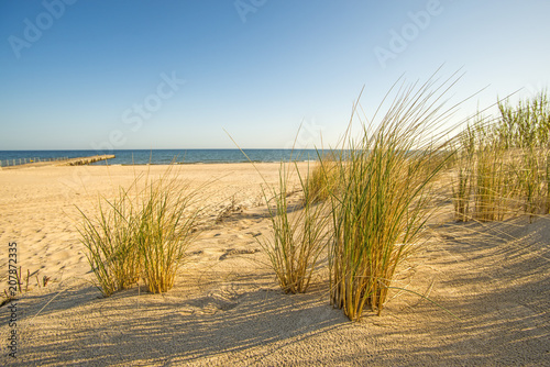 beach of the Baltic sea with beach grass and park bench in back light