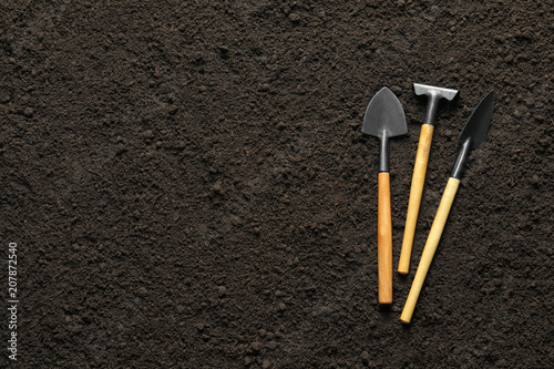 Rake and trowels on soil, top view. Professional gardening tools