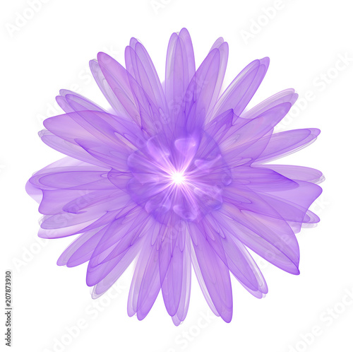 Fototapeta Naklejka Na Ścianę i Meble -  purple 3d flower isolated on white background