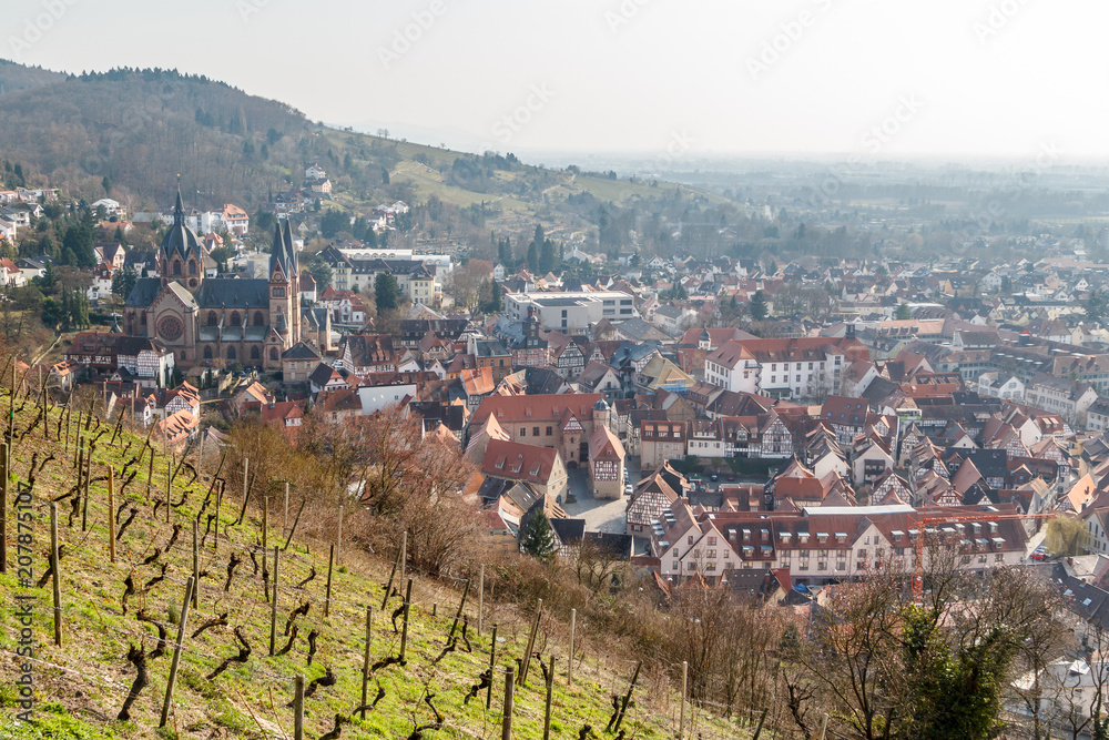 Grape fields above Heppenheim medieval town, Germany