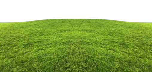 Green grass texture background isolated on white background with clipping path.