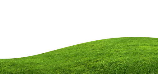 Green grass texture background isolated on white background with clipping path.