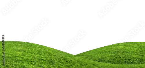 Green grass texture background isolated on white background with clipping path.