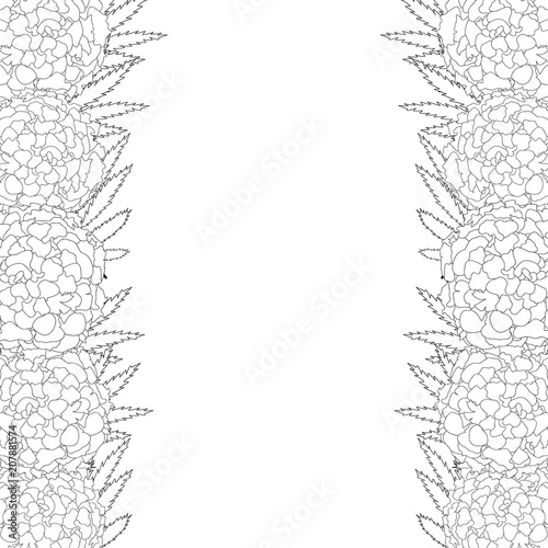 Fototapeta Naklejka Na Ścianę i Meble -  Marigold Flower - Tagetes Outline Border