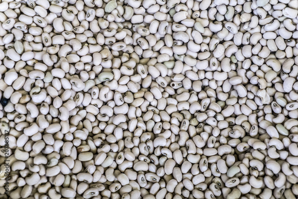 Turkish Kidney Beans Turkish Kidney Beans
