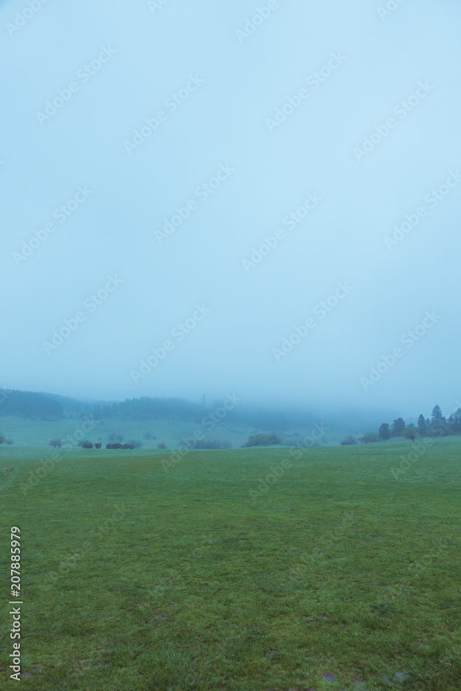 Fototapeta premium The prairie after the rain